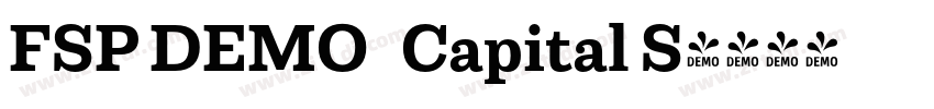 FSP DEMO   Capital S字体转换